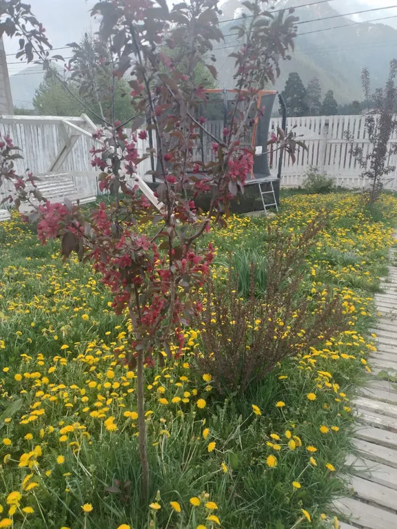 Коттедж Уютный коттедж с видом на горы — Архыз