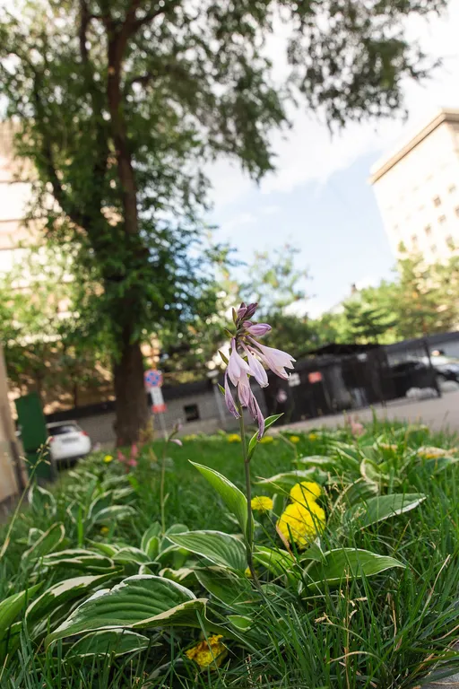 Квартира Замечательная современная квартира — Москва