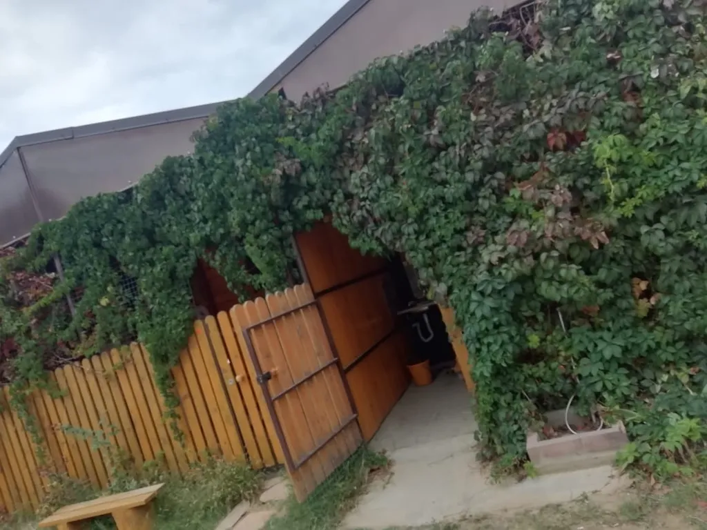 Уютный дом у моря