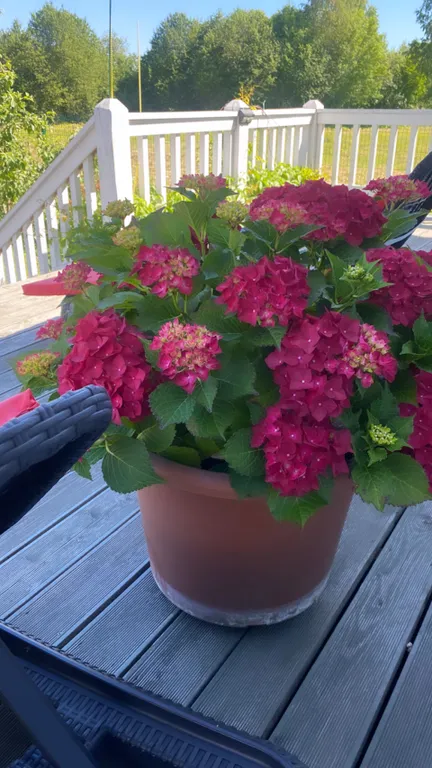 Дом-бутик Сандра с сауной и купелью