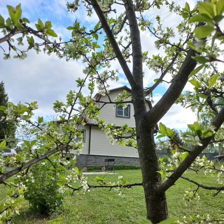 Уютный гостевой дом