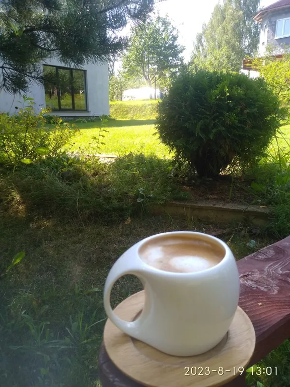 Дом с видом на лес