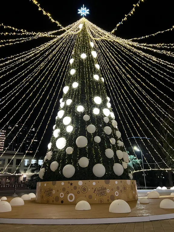 Квартира с видом на пальмы