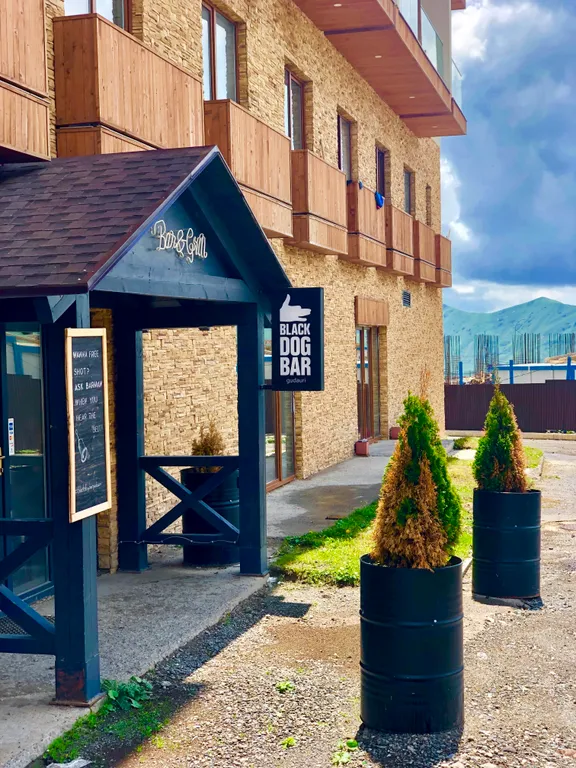 Апартаменты в Новом Гудаури