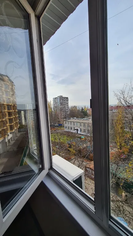 Студия ромашка