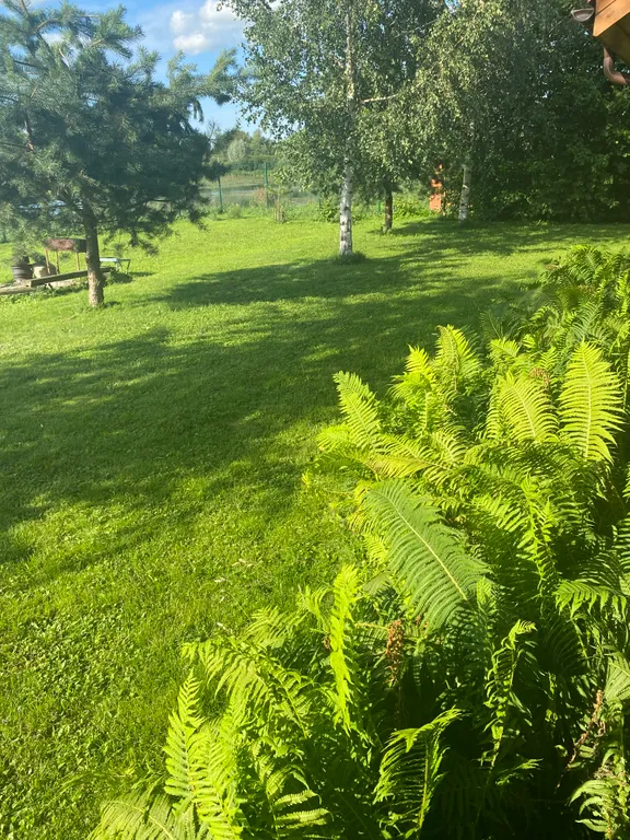 Дом с баней на берегу озера