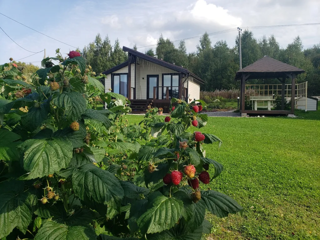 Коттедж Домик у озера — аренда посуточно в Петрозаводск