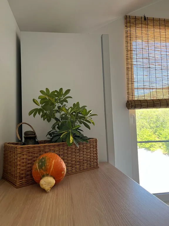 Квартира Квартира Семейный номер с видом на горы — Южная Озереевка