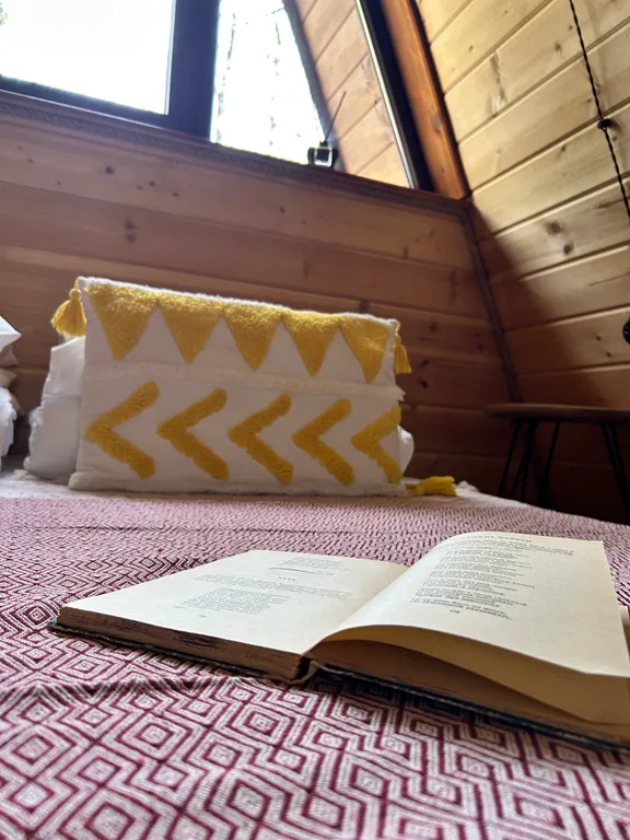 Атмосферный А-фрейм в сердце соснового бора с видом на Эльбрус