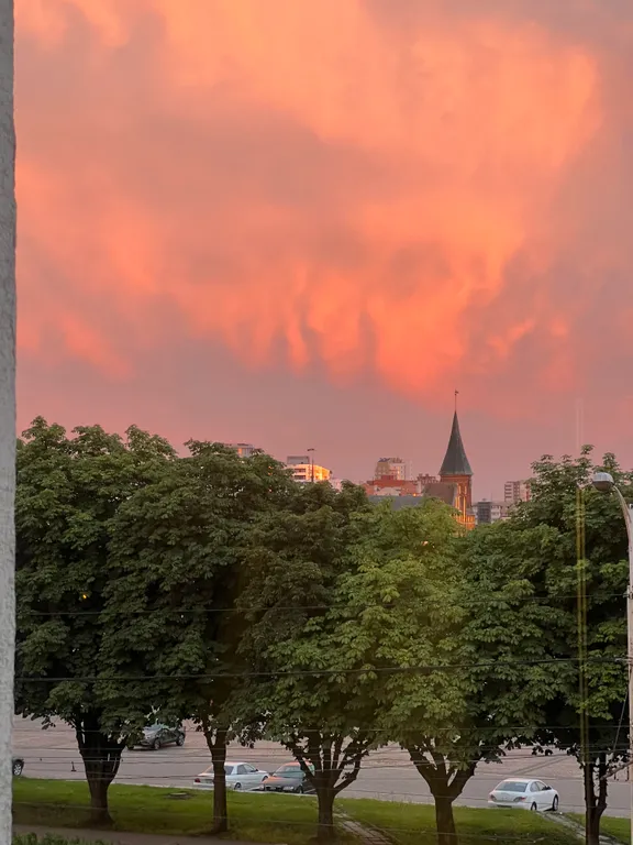 Квартира Уютная 2-комнатная квартира в самом сердце Калининграда — Калининград