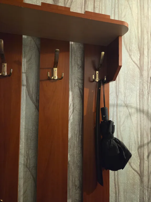 Просторная, уютная квартира у Чистых прудов