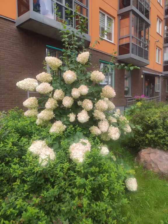 Квартира рядом с метро