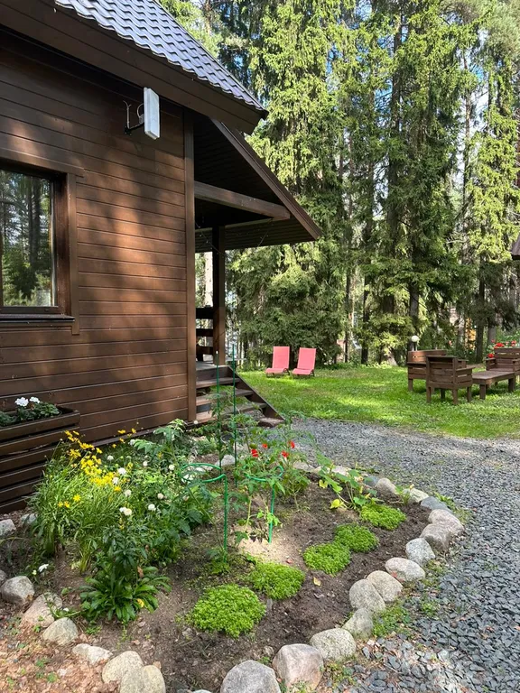 Сосновое шале на берегу Сямозера