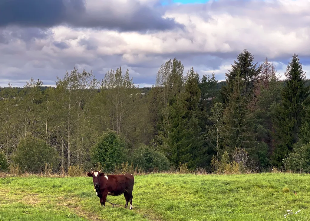 Панорамный двуспальный дом в Карелии рядом с Ладогой