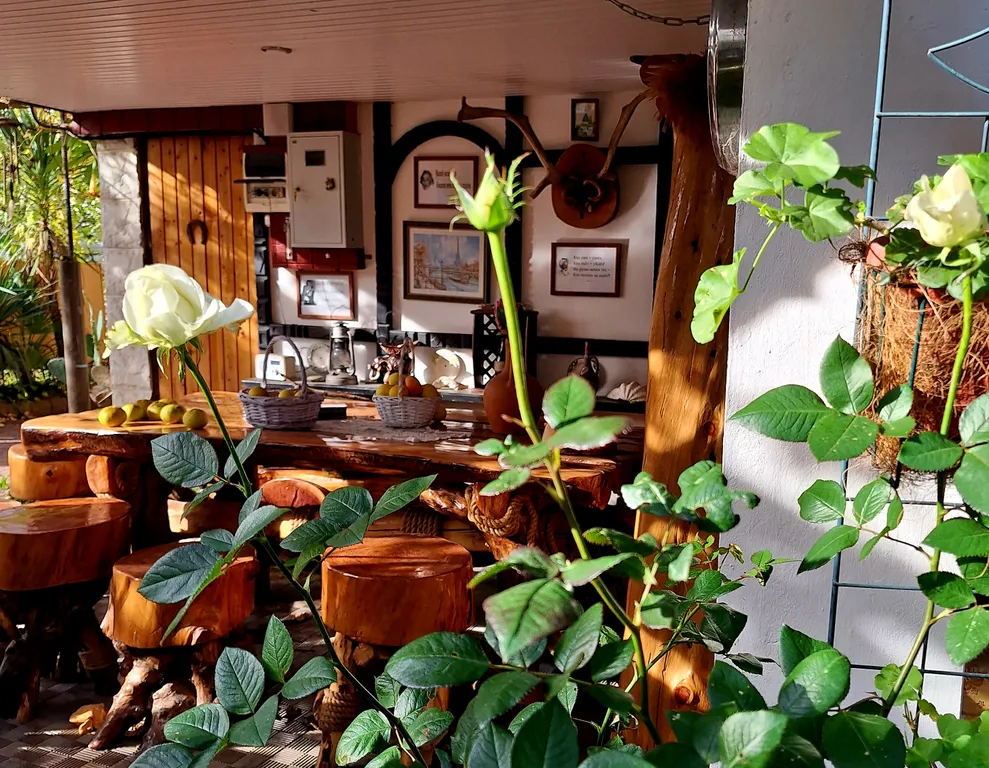 Квартира Комната — Сириус