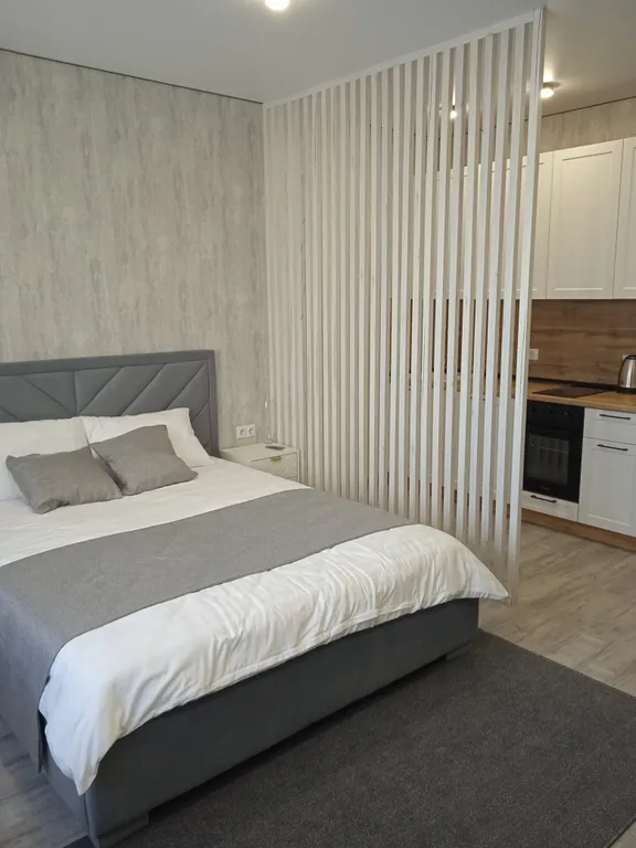 Уютная квартира-студия в центре города