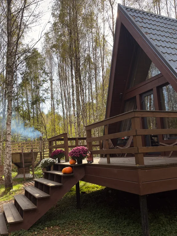 Дом в стиле A-fram