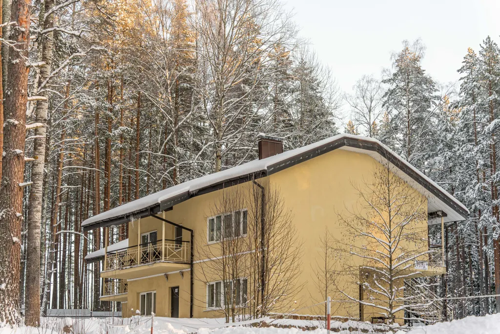 Уютные апартаменты с видом на лес