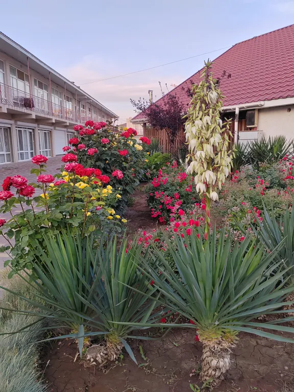 Квартира у моря