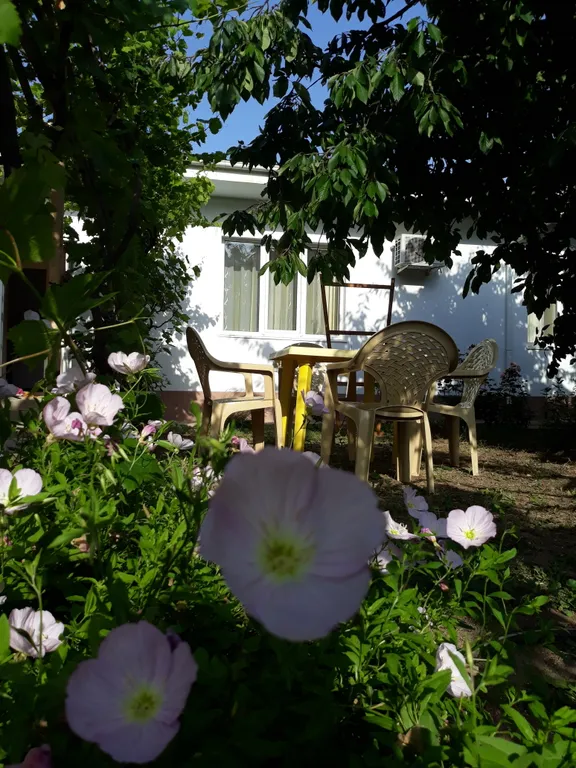 Дом двухкомнатный со всеми удобствами с отдельным двором