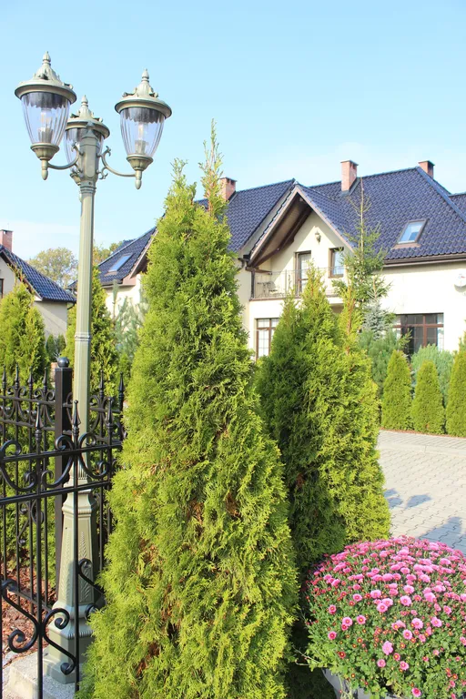 Коттедж с отдельным входом и видом на сад