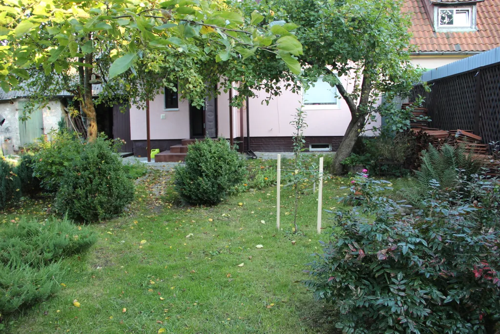 Квартира с видом на сад — аренда посуточно в Пионерский