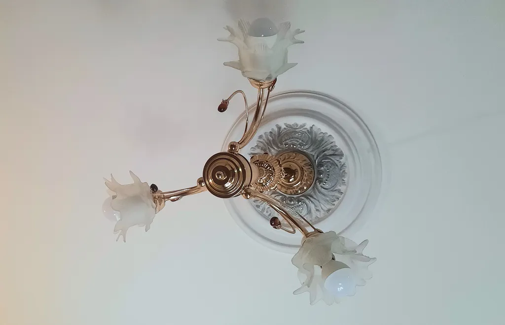 Комната с видом на Дубовую рощу