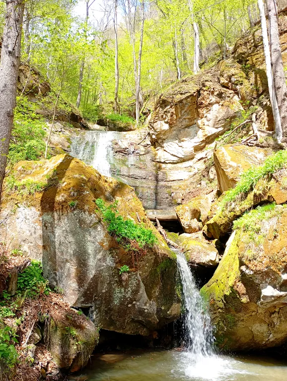 Эко-дом с видом на лес и горы