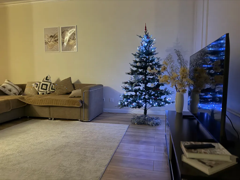 Светлая и уютная квартира в центре города с прекрасным видом