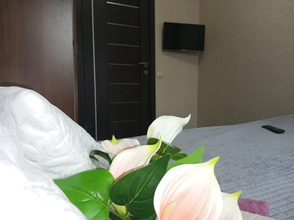 Уютная квартира в центральной части города — аренда посуточно в Ангарск