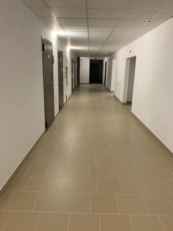 Новая студия