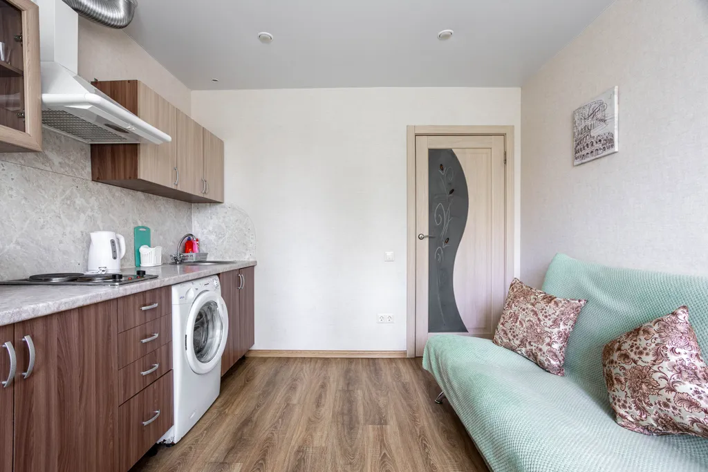 Большая однокомнатная квартира на Красной