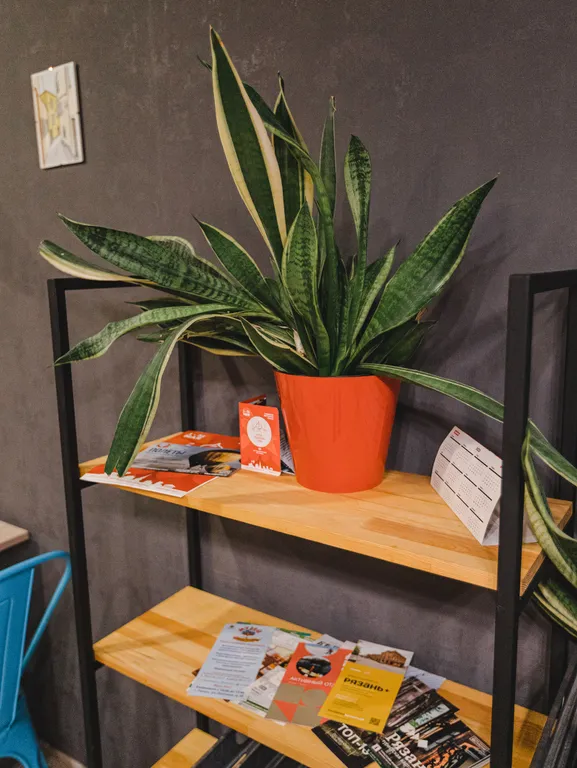 Евро-2 Апартаменты Есенин Smart