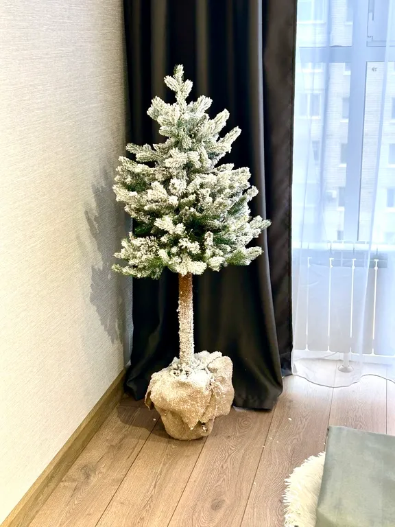 Новая квартира в центре города