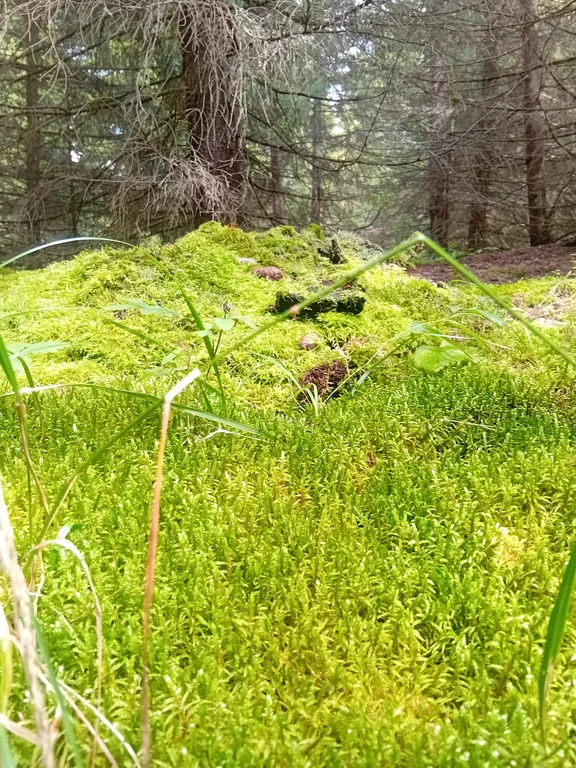 Уютный дом на берегу озера Камбулат