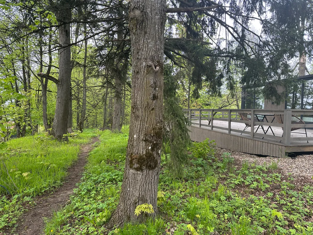 Коттедж Домик Хирви уютный коттедж на отдельном участке с вековыми деревьями — Москва