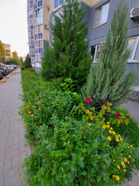 Квартира Квартира Мамаев Курган пешком, Панорамный вид на Парк и реку Волгу — Волгоград