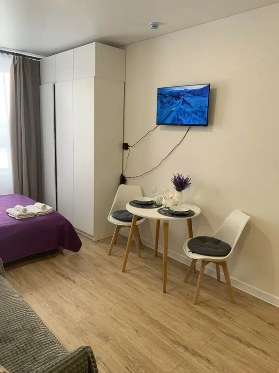 Уютнейшая студия в Ватутинках