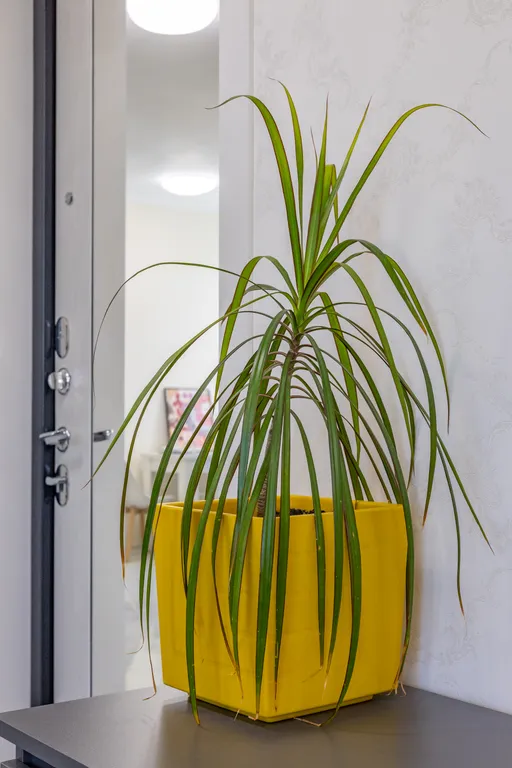 Апартаменты Flamenco