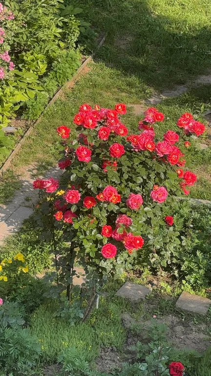 Уютная и просторная квартира в самом центре