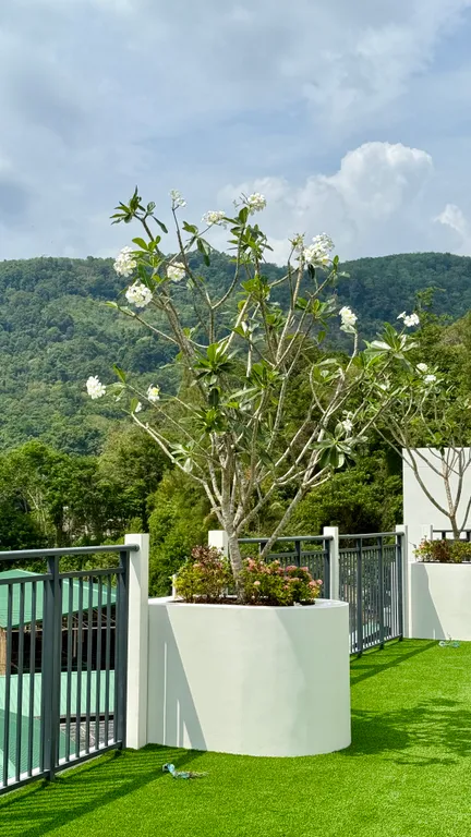 Релакс у моря с бассейном и спортзалом, рядом Камала пляж