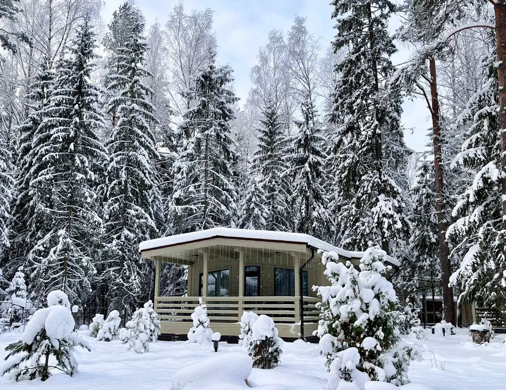 Коттедж Коттедж на озере Волго на Селигере в сосновом бору — Турбаза Чайка