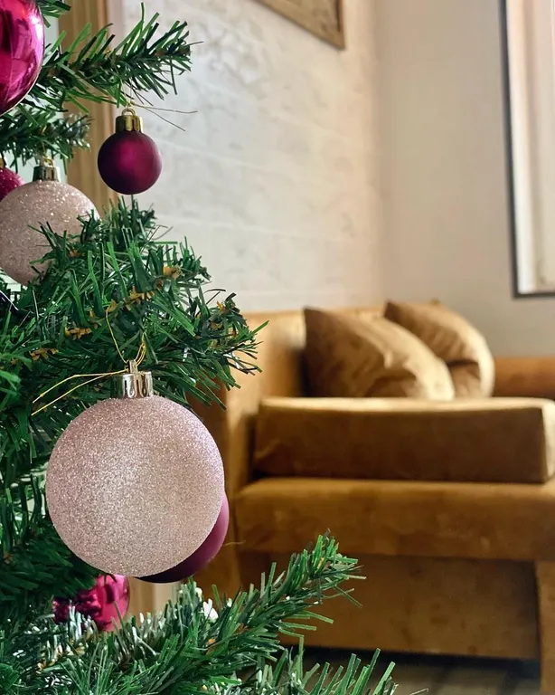 Светлая шале евро-трёшка