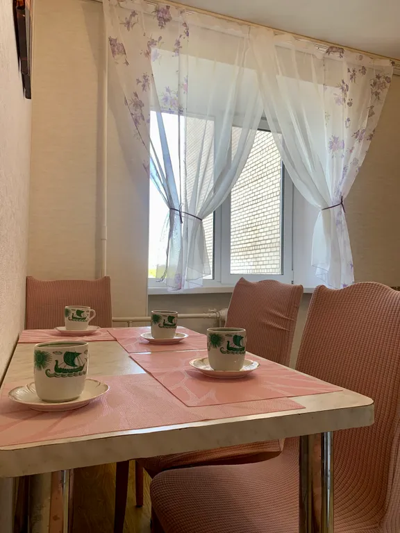 Просторная квартира в центре города