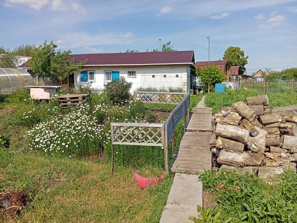 База Картина Д'Ампеццо