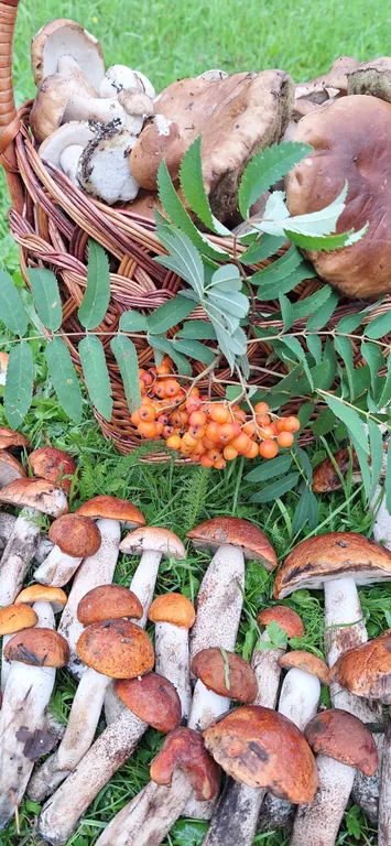 Уютный коттедж на берегу великолепного озера Ханкасъярви