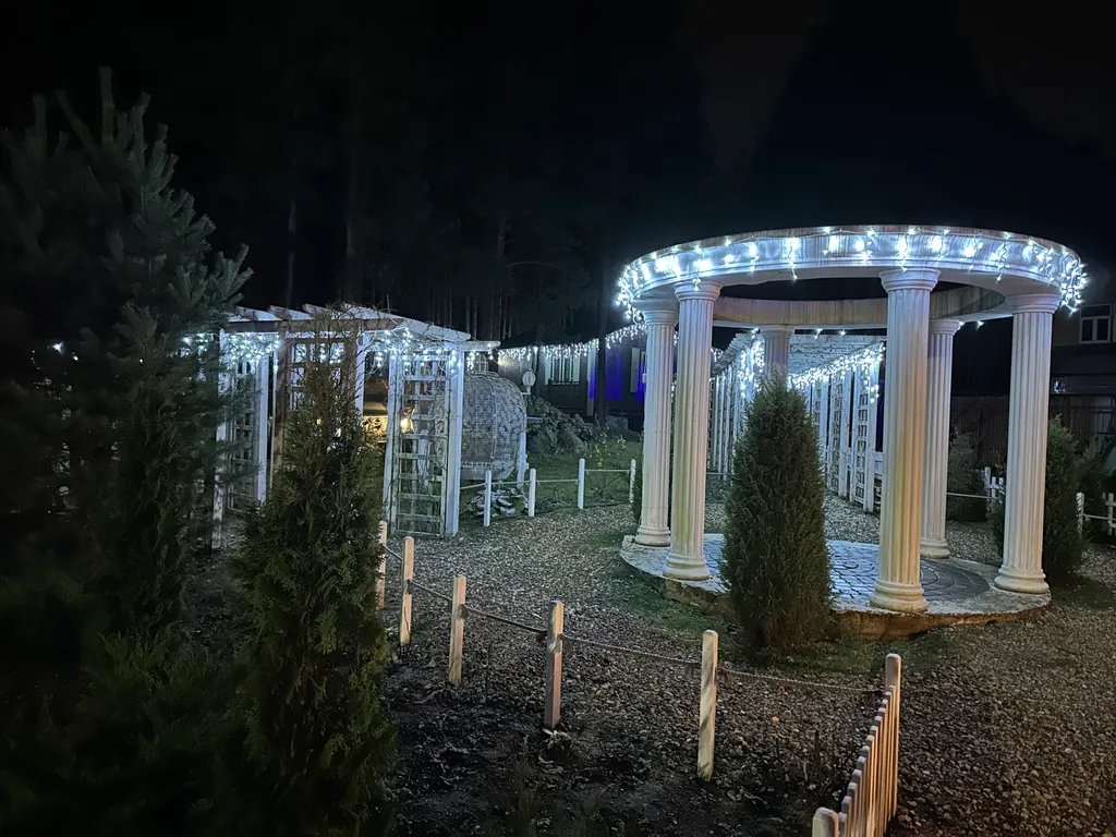 Шале в сосновом бору