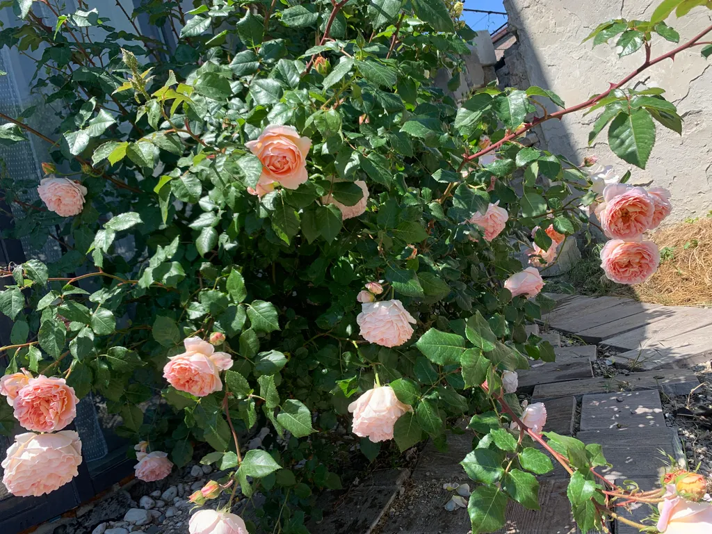 Уютная квартира студия в центре города