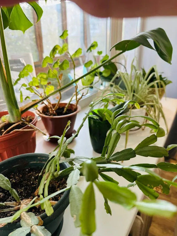 Аренда квартиры