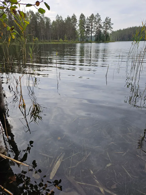 Ильинка в Карелии